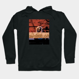 Vengeance Hoodie